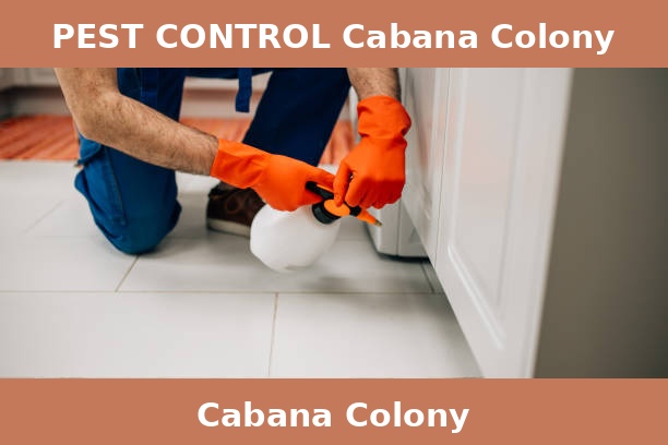 PEST CONTROL Cabana Colony